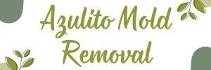 Azulito Mold Removal